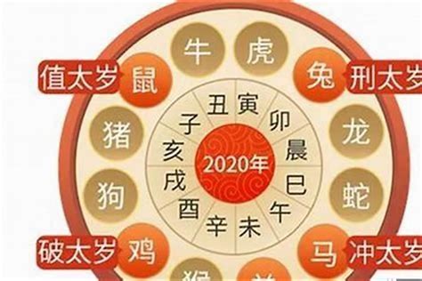 2024年属虎运势|属虎的人今日/每日运程运势